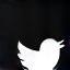 Twitter icon